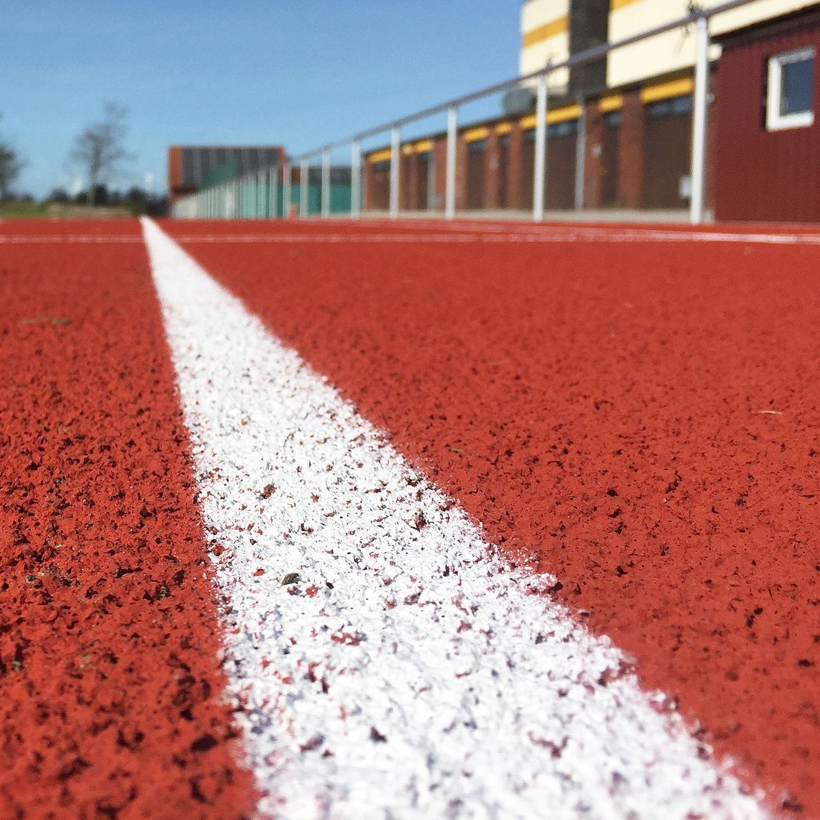 Saubere Tartanbahn durch THEIS Spezialreinigung an der weissen Diagonalen entlang fotografiert