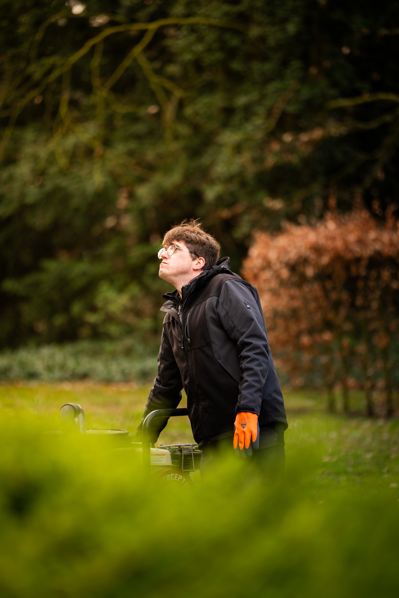 Ein Mitarbeiter steht auf einer Wiese und sieht kritisch nach oben