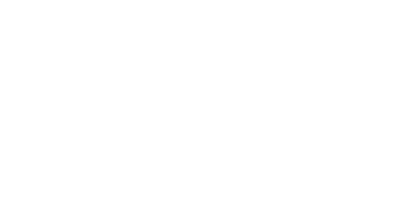 Logo Theis Spezialreinigung